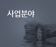 사업분야